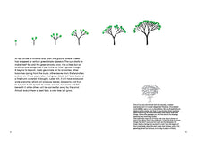 Load image into Gallery viewer, BRUNO MUNARI - Drawing a tree
