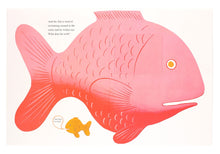 Load image into Gallery viewer, BRUNO MUNARI - Never content