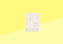 Laden Sie das Bild in den Galerie-Viewer, MIDORI - MD Sticky Memo Pad - A7 Frame