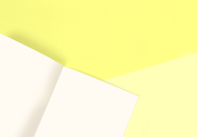 Load image into Gallery viewer, TRAVELER'S COMPANY – Traveler's Notebook Regular - 025 MD Paper Cream Notebook