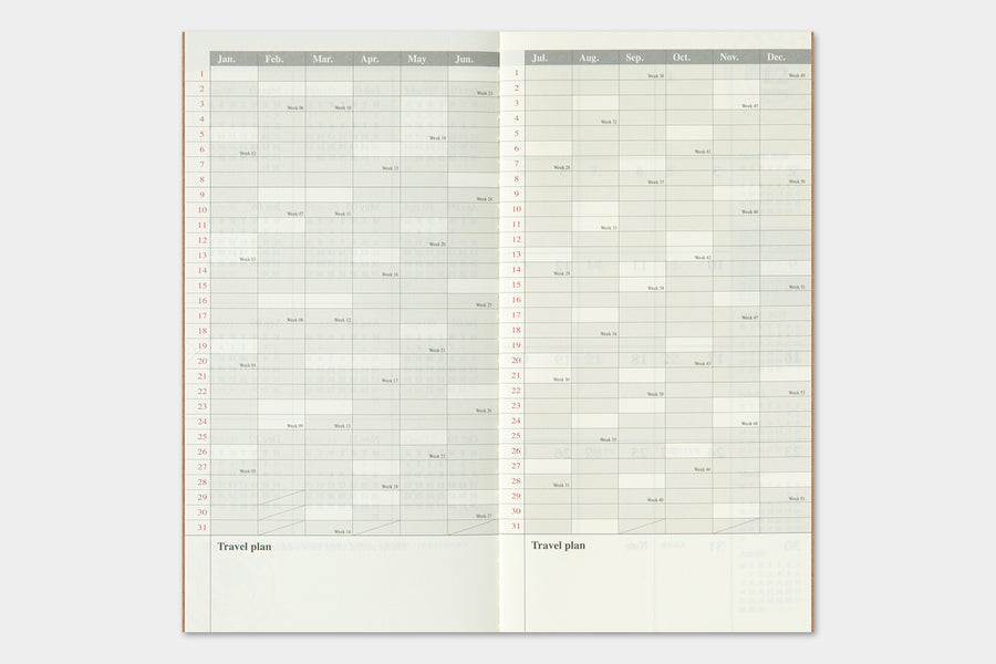 TRAVELER'S COMPANY - Traveler's Notebook Regular - 2025 monthly diary