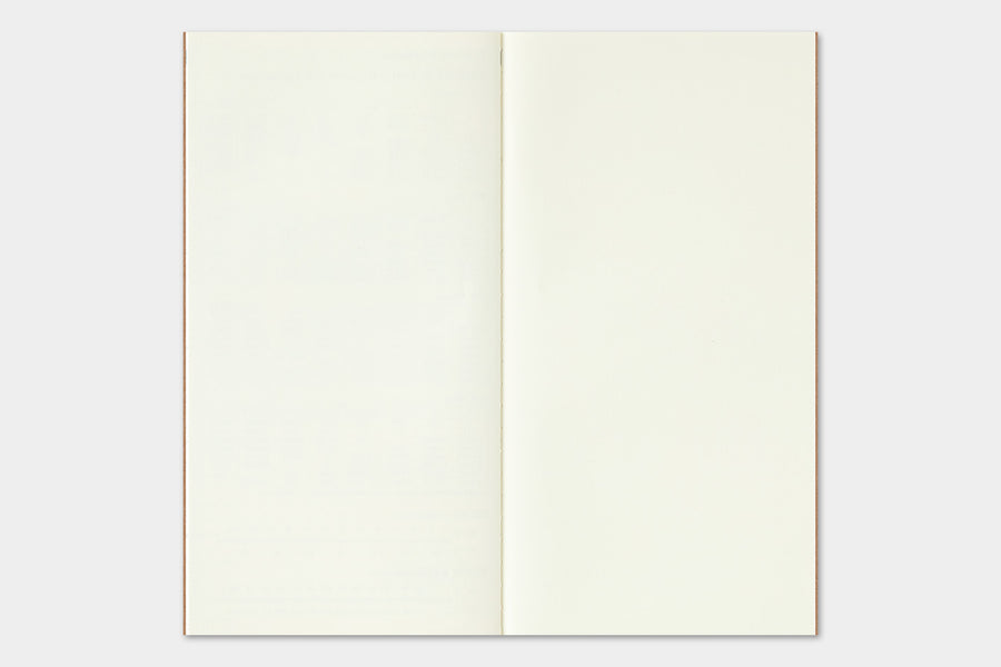 TRAVELER'S COMPANY - Traveler's Notebook Regular - 2025 monthly diary
