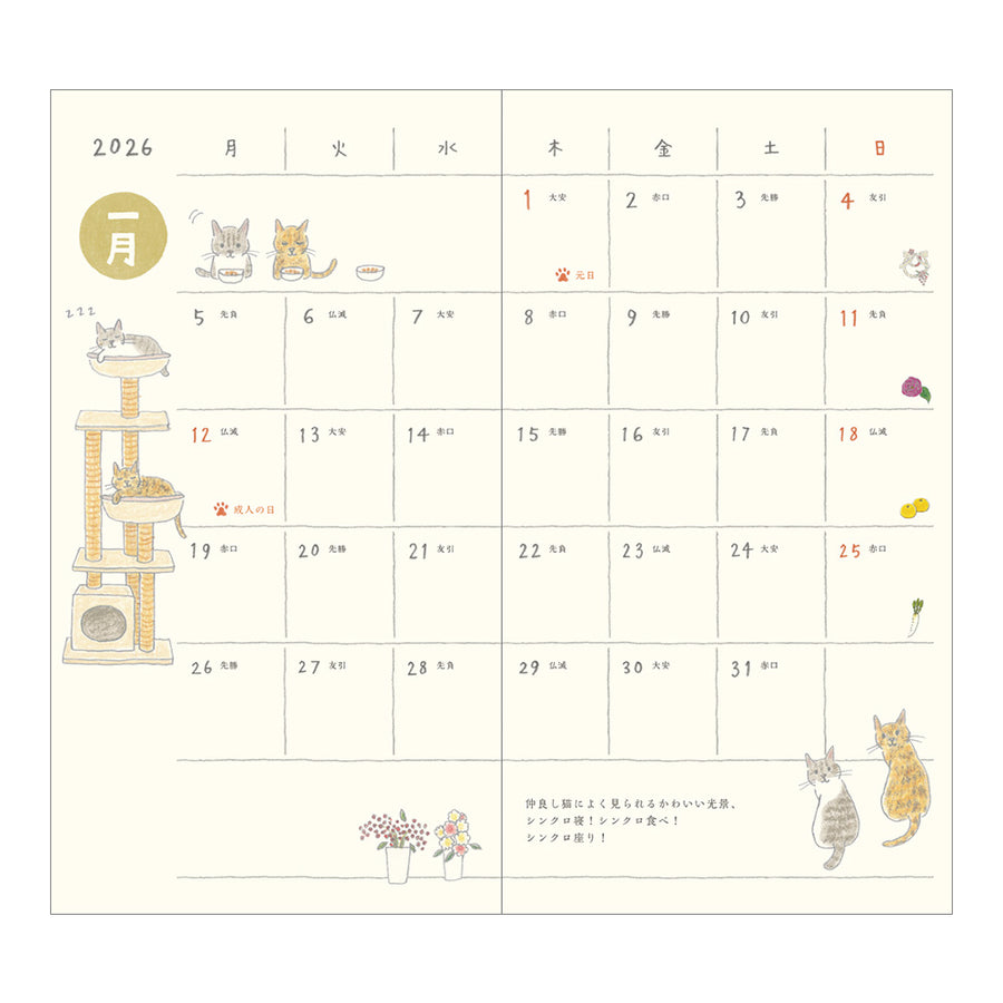 MIDORI - Taschenkalender 2026 - B6 Slim Katze