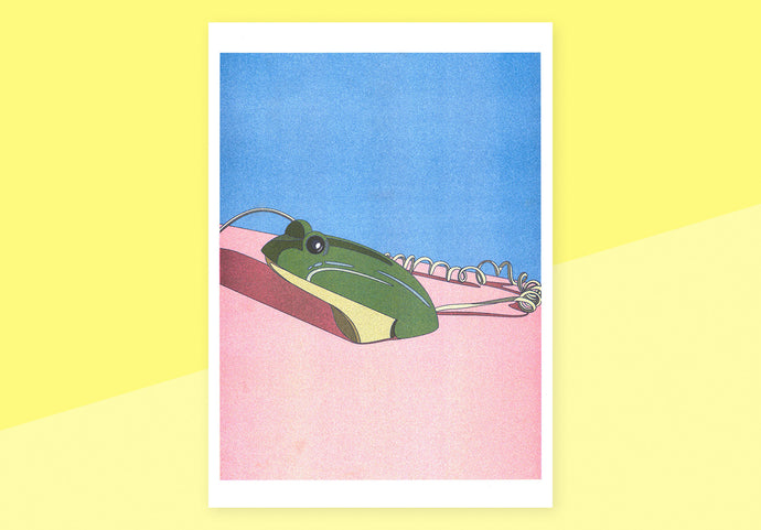ANA POPESCU - A3 poster - Crusader Frog Phone