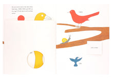 Load image into Gallery viewer, BRUNO MUNARI - A tale of three little birds