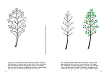 Load image into Gallery viewer, BRUNO MUNARI - Drawing a tree