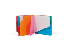 Load image into Gallery viewer, BRUNO MUNARI -  Libro illeggibile MN 1