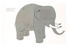 Load image into Gallery viewer, BRUNO MUNARI - Never content