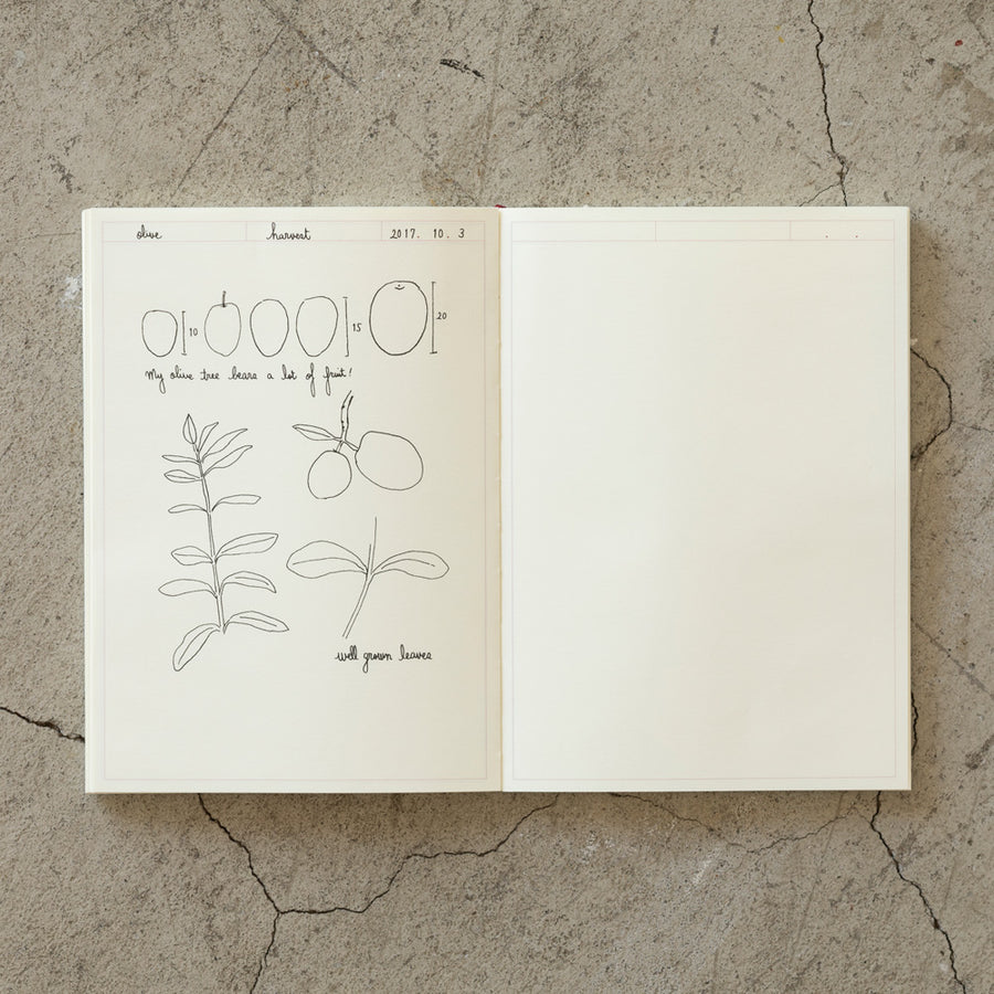 MIDORI - MD Notizbuch Journal - A5 Frame