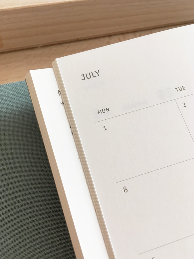PAPIERNICZENI - Klasyk MMXXIV Calendar - Eucalyptus