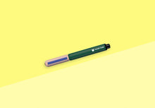 Load image into Gallery viewer, PAPIER TIGRE - Fountain Pen - Green &amp; Pink