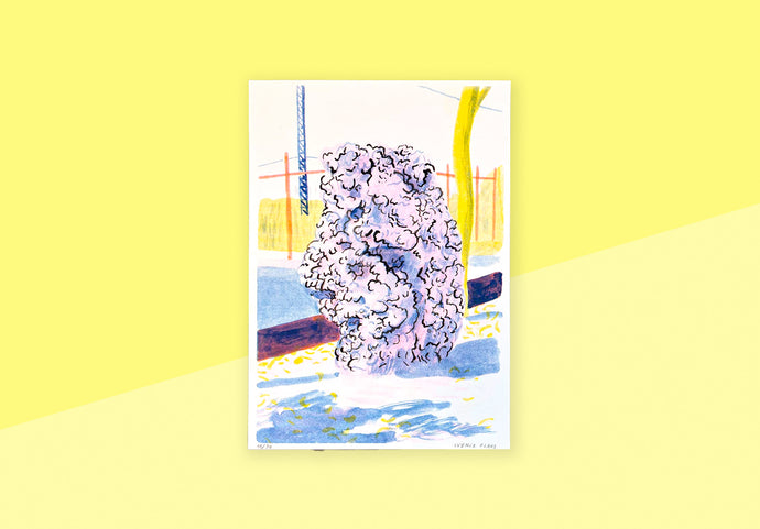 SVENJA PLASS - A4 poster - Termite mound