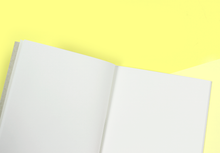 Load image into Gallery viewer, TRAVELER&#39;S COMPANY – Traveler&#39;s Notebook Regular – 013 Lightweight Paper Notebook
