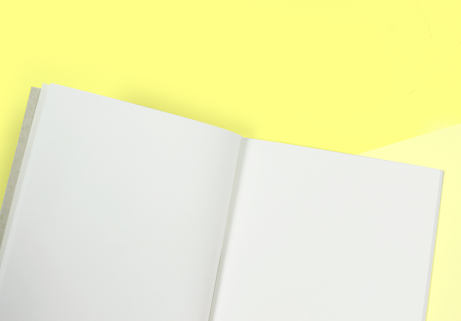 TRAVELER'S COMPANY – Traveler's Notebook Regular – 013 Lightweight Paper Notebook
