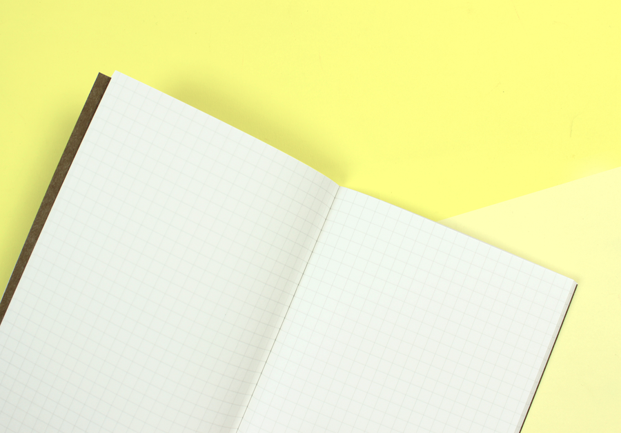 TRAVELER'S COMPANY – Traveler's Notebook Regular - 002 Grid Notebook