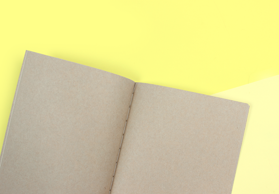 TRAVELER'S COMPANY – Traveler's Notebook Regular – 014 Kraft Paper Notebook